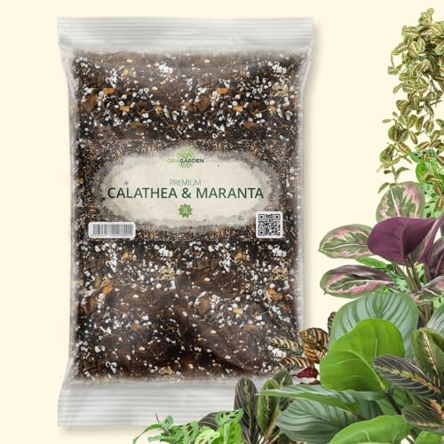 OraGarden Calathea&Maranta Erde Blumenerde für Begonia Fittonie Premium Qualität (3L) von OraGarden