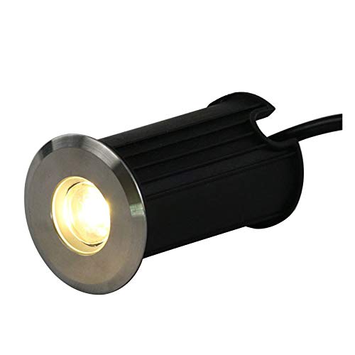 OrbitCob® Einbaustrahler Unterwasser Mini Led Strahler Außen IP68 Edelstahl 304 24V Zum Draussen, Treppe, Schwimmbad, Unterwasser Dekoration(Blau,42mm-1w) von OrbitCob