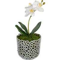Orchideentopf Mit Drainagelöcher, Moderner Korborchideen-Blumentopf Löchern Für Orchideen Und Luftpflanzen, Kleiner, Mittlerer, Großer Topf von Orchify