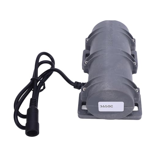 Oreilet 12 V 24 V DC Vibrationsmotor, 3800 U/Min 3650 Kohlenstoffbürste Vibrationsmotor mit Doppelter Exzentrisches Rad für Elektrische Massage Bett Warnsysteme Elektronikstarter (DC12V) von Oreilet