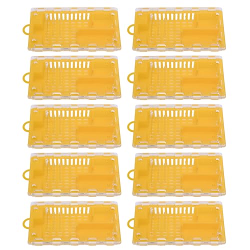 Oreilet Königin Bee Cage, 10pcs Kunststoff Bienenstockkäfig mit Kleinen Löchern, Bienenwerkzeug -Bienenzucht, Transparent, Leicht zu Füttern, Mühelos zu Installieren (YELLOW) von Oreilet
