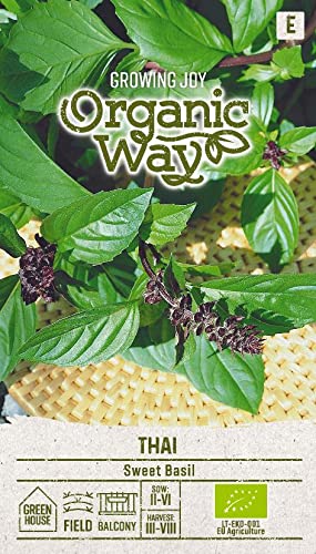 Organic Way | BASILIKUM THAI samen | Kräutersamen | Pflanze samen| Basilikumsamen | Gardensamen | 1 Pack von Organic Way