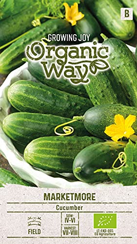 Organic Way | GURKEN MARKETMORE samen | Gemüsesamen | Gurkensamen | Garten Samen | Mittelfrühe, ertragreiche Salatgurkensorte | 1 Pack von Organic Way