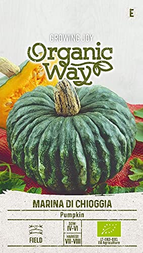 Organic Way | KÜRBIS MARINA DI CHIOGGIA samen | Gemüsesamen | Kürbissesamen | Garten Samen | Eine späte Sorte | 1 Pack von Organic Way