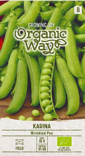 Organic Way | MARKERBSE KARINA samen | Gemüsesamen | Garten Samen | Frühe, ertragreiche Markerbsensorte | 1 Pack von Organic Way