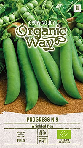 Organic Way | MARKERBSE PROGRESS N.9 samen | Gemüsesamen | Erbsensamen | Frühe Sorte | 1 Pack von Organic Way