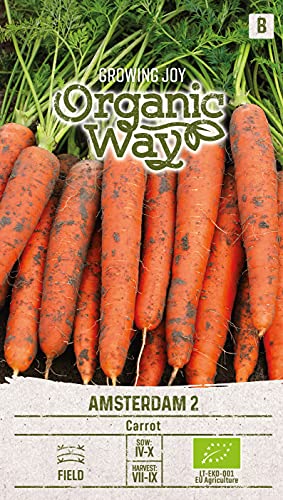 Organic Way | MÖHREN AMSTERDAM 2 samen | Gemüsesamen | Karottensamen | Garten Samen | Eine frühe Sorte | 1 Pack von Organic Way