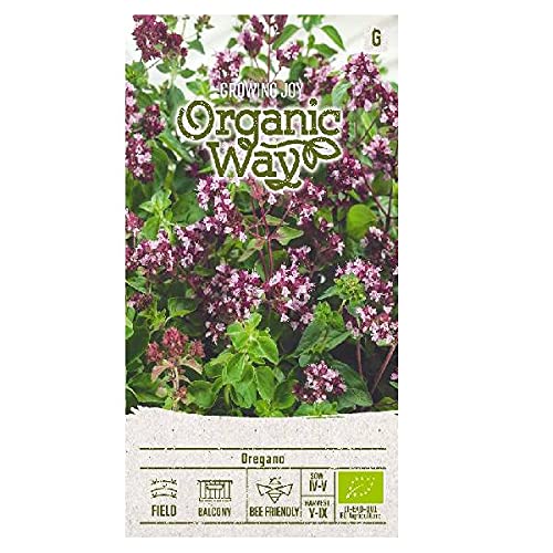 Organic Way | OREGANO samen | Pflanzesesamen | Mehrjährige Kräuter | Gardensamen | Zierpflanzen, Holzpflanzen | 1 Pack von Organic Way