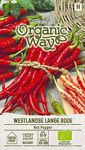 Organic Way | PAPRIKA WESTLANDSE LANGE RODE samen | Gemüsesamen | Frühe würzige Sorte | Paprika Samen | Die Paprikaschote ist grün oder rot, hat starken Geschmack | 1 Pack von Organic Way