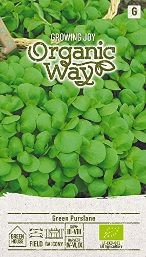 Organic Way | PORTULAK samen | Kräutersamen | Pflanze samen| Gardensamen | 1 Pack von Organic Way