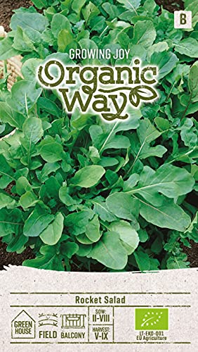 Organic Way | RUCOLA GARTEN-SENFRAUKE samen | Gemüsesamen | Salatsamen | Pflegeleichte und zudem schnellwachsende Salatsorte | 1 Pack von Organic Way