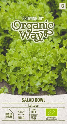 Organic Way | SALAT SALAD BOWL samen | Gemüsesamen | Salatsamen | Garten Samen | Früher, ertragreicher Eichblattsalat | Salat Samen | 1 Pack von Organic Way