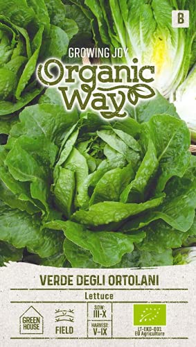 Organic Way | SALAT VERDE DEGLI ORTOLANI samen | Gemüsesamen | Salatsamen | Garten Samen | Eine mittelfrühe Sorte des Römersalats | Salat Samen | 1 Pack von Organic Way