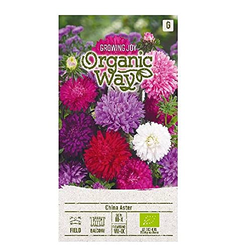 Organic Way | SOMMERASTER STANDY samen | Einjährig Pflanze, 60 cm hoch | Blumensamen | Die Blüten sind groß und grellfarbig | 1 Pack von Organic Way