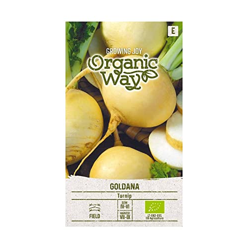 Organic Way | SPEISERÜBE GOLDANA samen| Gemüsesamen | Pflanze samen | Speiserübe samen | Gardensamen | 1 Pack von Organic Way