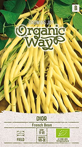 Organic Way | STANGENBOHNEN DIOR samen | Gemüsesamen | Bohnensamen | Garten Samen | Wächst in 60 Tagen | 1 Pack von Organic Way