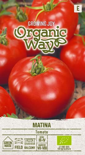 Organic Way | TOMATEN MATINA samen | Gemüsesamen | Tomatensamen | Garten Samen | Eine frühe Tomatensorte, hohe Tomatenstengeln | 1 Pack von Organic Way