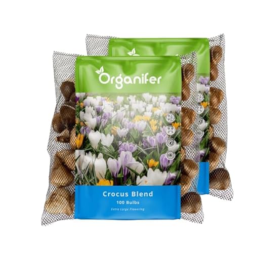 200 Krokusse Blumenzwiebeln - Blumenzwiebeln Krokus - Krokus - Blumenzwiebelmischung - Bio-Blumenzwiebeln - Sommerzwiebeln - (Xxl-Blumenzwiebeln Größe 8/9 Cm) - Organifer von Organifer