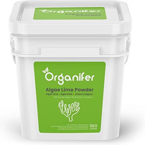 Organifer Algenkalk-Pulver Lithothamnium calcareum 5 kg für 250 m2, Kalzium und Magnesium pH-Korrektur Pflanzenstärkung von Organifer