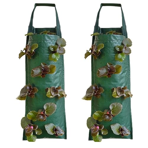 Oriental eLife Pflanzsack Erdbeeren, 2 Stück Hängend Erdbeeren Pflanztaschen, Pflanzbeutel Hängend Pflanzen Tasche Hängend Erdbeeren Pflanztaschen für Garten Pflanzen Blumen Gemüse von Oriental eLife
