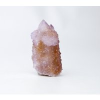 Kaktus Quarz Amethyst von OriginMinerals