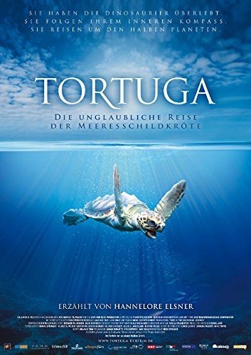 Tortuga - Die unglaubliche Reise der Meeresschildkröte (2009) | original Filmplakat, Poster [Din A1, 59 x 84 cm] von Original Filmposter