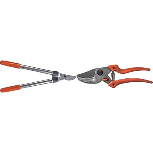 Original LÖWE 31 Profi Bypass Astschere 31.050 & 8 Profi Amboss Gartenschere 8.107 mit Bypass Geometrie - scharfe handliche Schere mit Stahl-Klinge Antihaftbeschichtung und ergonomisch geformte Griffe Original LÖWE 31 Profi Bypass Astschere 31.050 & 8 Profi Amboss Gartenschere 8.107 mit Bypass Geometrie - scharfe handliche Schere mit Stahl-Klinge Antihaftbeschichtung und ergonomisch geformte Griffe von Original LÖWE