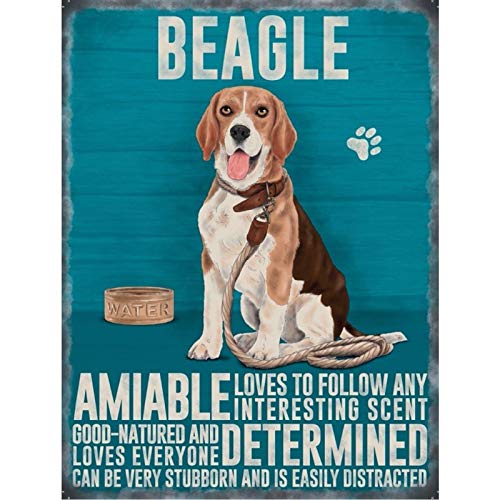 Beagle Mini Metall Hound Dog Schild freundlich wirkenden bestimmt loves alle von Original Metal Sign Co