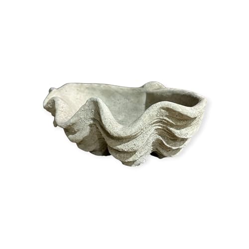 OriginalPaul Vogeltränke Muschel - Handgefertigt aus frostresistentem Beton (Höhe 13cm / Breite 39cm / Tiefe 26cm) von OriginalPaul Skulp & Betondesign