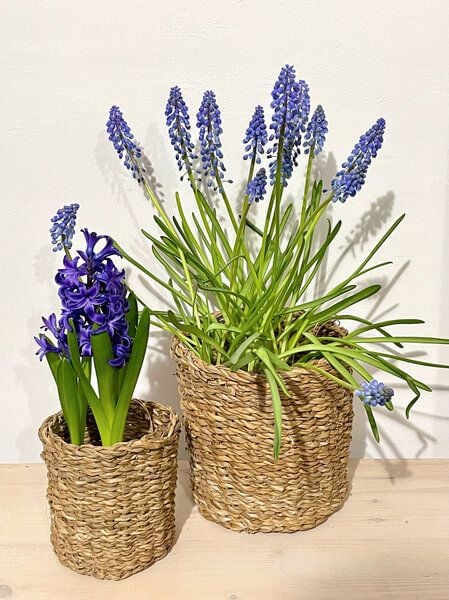 Originalhome Hogla Körbe rund in 3 Größen fairtrade von Originalhome