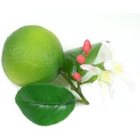 1 Gefälschte Grüne Limette Mit Blättern Und Blüten Künstliche Frucht Handwerk Lime von OrinsTreasureChest