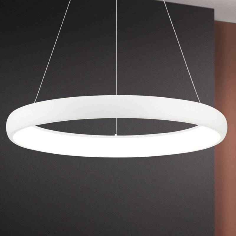 LED-Hängeleuchte Venus in Ringform von Orion