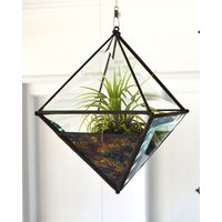 Großer Pyramide Kugelglas Orb Air Plant Planter Mit Gold Grün/Blau Und Rot Van Gogh Akzent Glas von OriskanyGlass