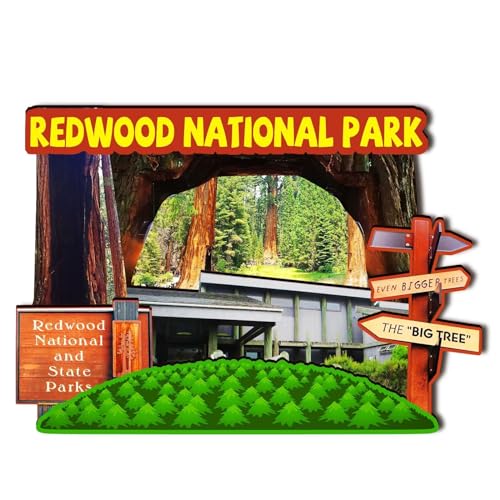 Orlaybar Redwood National Park California (CA) Amerika, dekorativer Magnet, 3D-Kühlschrank, Stadt, Reise, Souvenir, Touristengeschenke, handgefertigtes Handwerk, Kühlschrankmagnet, Heimdekoration -348 von Orlybar