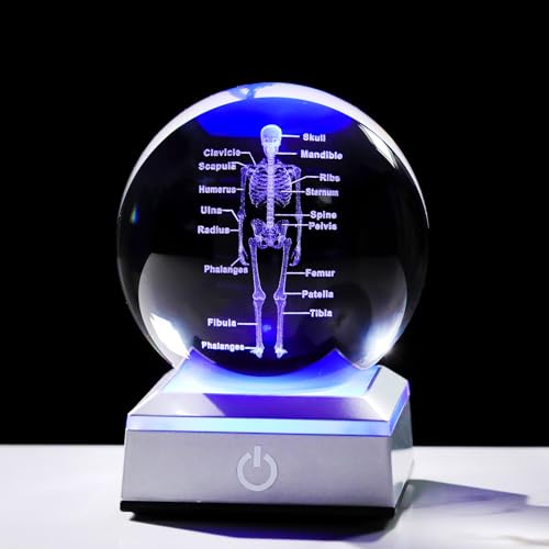 3D Menschliches Skelett 8.0 cm Kristallkugel Geschenke für Chirurgen Arzt Osteologen Glaskugel geätzt Anatomie Modell Andenken für Männer Büro Dekoration mit LED-Lichtsockel von Ornalrist
