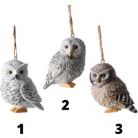 Weiß Und Braun Wise Owls Urlaub Weihnachten Ornament 2024 von Ornaments247