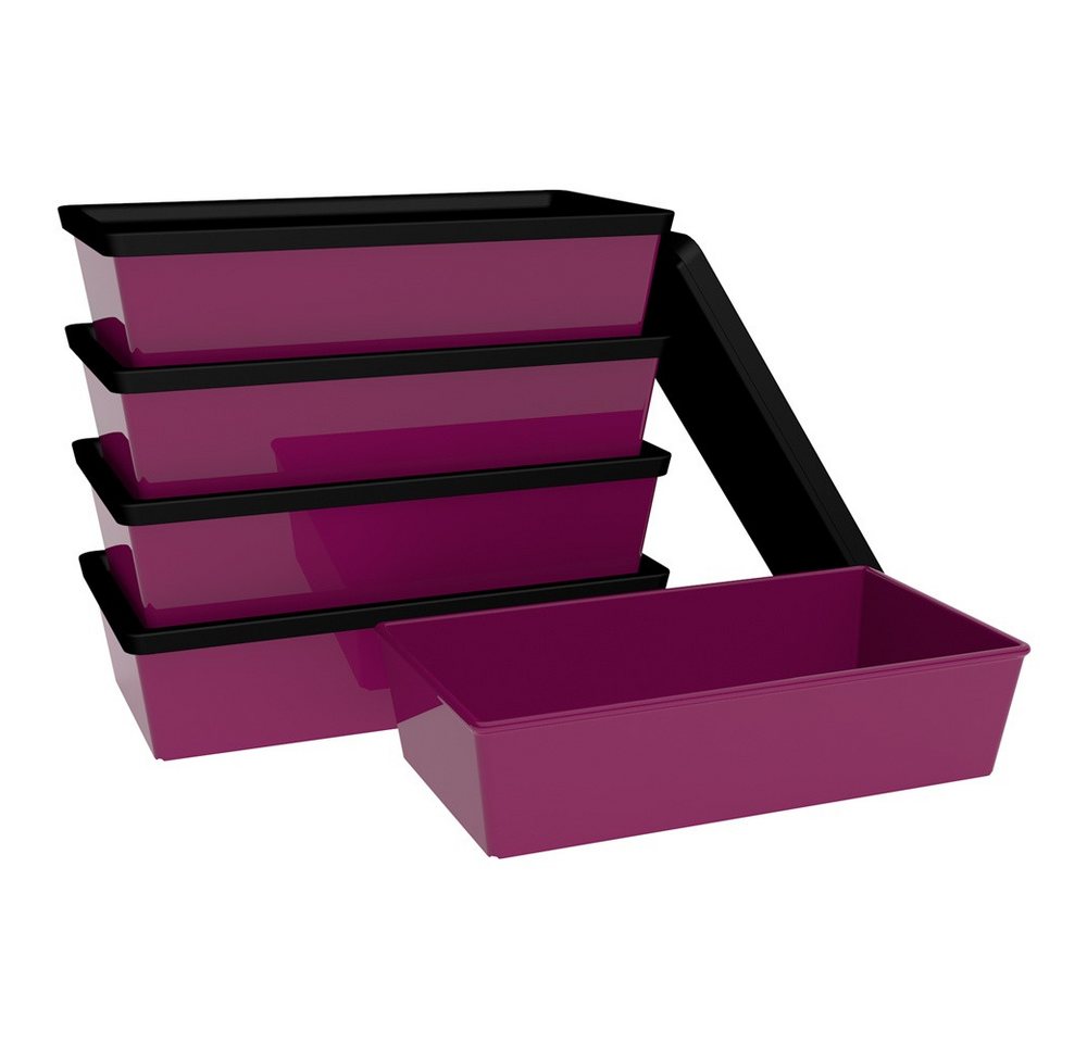 Ornamin Frischhaltedose ORNAMIN Meal Prep-Set, Food-Storage-Set, bruchfest & auslaufsicher, Made in Germany von Ornamin