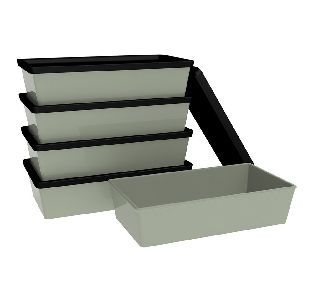 Ornamin Frischhaltedose ORNAMIN Meal Prep-Set, Food-Storage-Set, bruchfest & auslaufsicher, Made in Germany von Ornamin