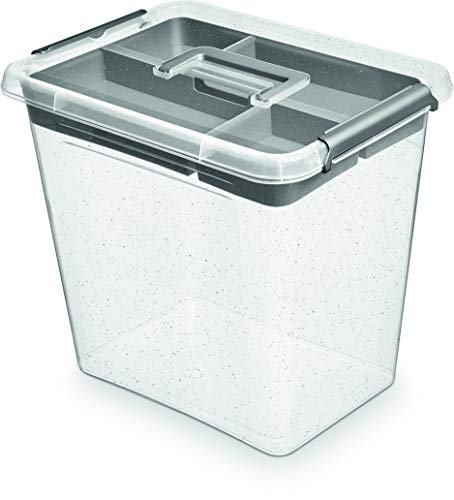 Orplast NanoBox 30,0 L + Insert Silber Antibakterielle Aufbewahrungsbehälter, Aufbewahrungsbox mit Deckel und Klickverschluss, Kühlschrankbox Lebensmittelbox von Orplast