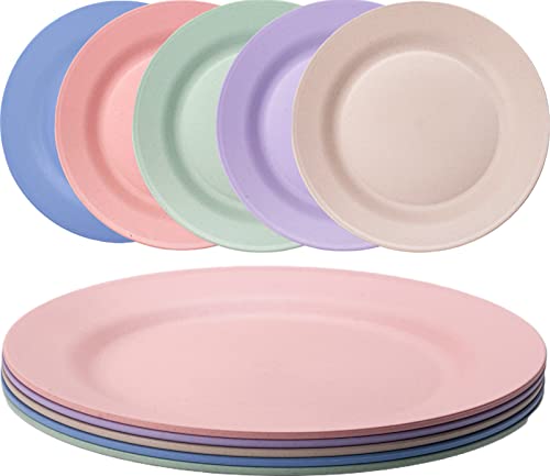Orrdiffi Kunststoff Teller 25 cm Leichte Kunststoffplatten Unzerbrechliche Große Teller Mikrowellen und Spülmaschinenfest Speiseteller für Pizza,Pasta,Brot,Salat Plastikteller,Camping Teller - bunt von Orrdiffi