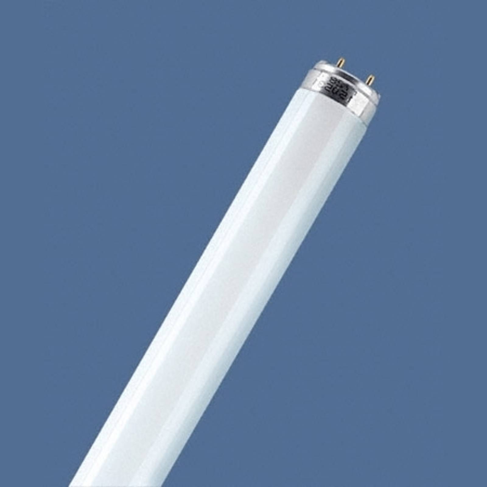 Leuchtstoffröhre G13 T8 18W 865 LUMILUX von Osram