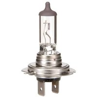 Osram - Halogenlampe H7 12V 55W Beleuchtung Osram - Halogenlampe H7 12V 55W Beleuchtung von Osram