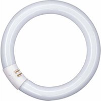 OSRAM LAMPE Leuchtstofflampe G10q ringförmig L 32W/840 C OSRAM LAMPE Leuchtstofflampe G10q ringförmig L 32W/840 C von Osram
