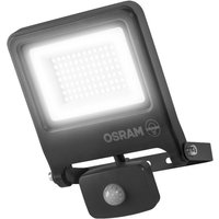 Osram Außenleuchte ENDURA Flood Bewegungsmelder 50W PCR dunkelgrau kaltweiß von Osram