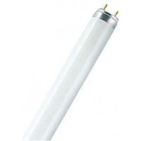 Osram T8-Leuchtstofflampe L 36W/840 - 4050300517872 von OSRAM GmbH