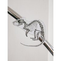 Ratten-Skelett Kühlschrankmagnet | Anatomie Aquarell Vinyl Magnet von OssuariumFloreus