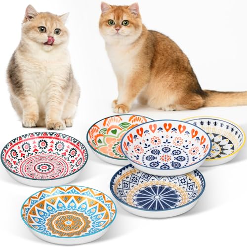 Otauoaea Katzennapf, Katzennapf Flach 6 Stück Futternapf Katze Keramik, Katzen Futternapf, Katzenteller Bunte Katzenschüssel, Katzen Fressnapf, Katzennäpfe für Futter und Wasser Katzen Napfset 250ml Otauoaea Katzennapf, Katzennapf Flach 6 Stück Futternapf Katze Keramik, Katzen Futternapf, Katzenteller Bunte Katzenschüssel, Katzen Fressnapf, Katzennäpfe für Futter und Wasser Katzen Napfset 250ml von Otauoaea