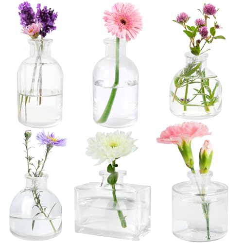 Otauoaea Kleine Glasvasen, 6er Set Mini Vasen für Tischdeko,Klar Flower Vase Klein Blumenvasen Modern Blumenvase Glas Vasen Set für Hochzeit Party Esstisch Tafelaufsatz Tischvase Deko von Otauoaea