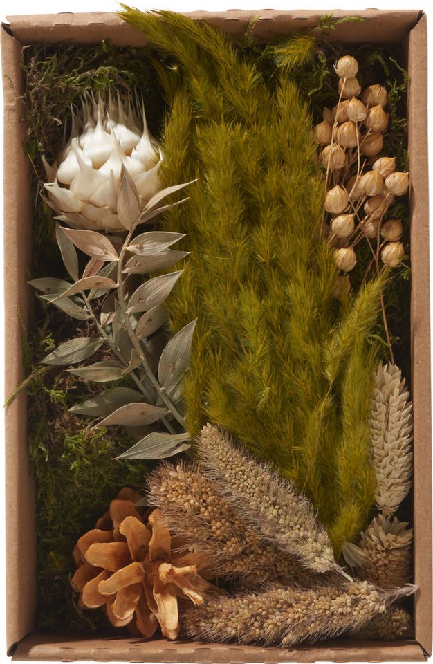 Kunstpflanze Trockenblüten Natural, Othmar Decorations, 100 g von Othmar Decorations