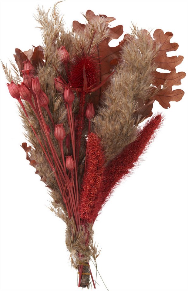 Kunstpflanze Trockenblumen Set 'Red', L ca. 25 cm, Othmar Decorations, 25 cm von Othmar Decorations